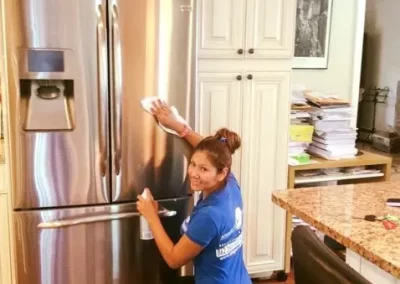 Professional Cleaning Services